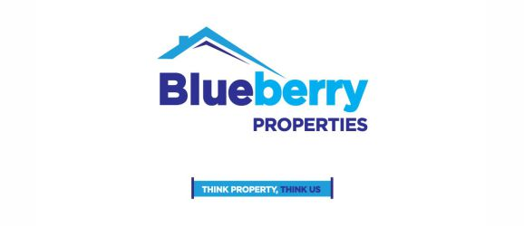 Blueberry Properties