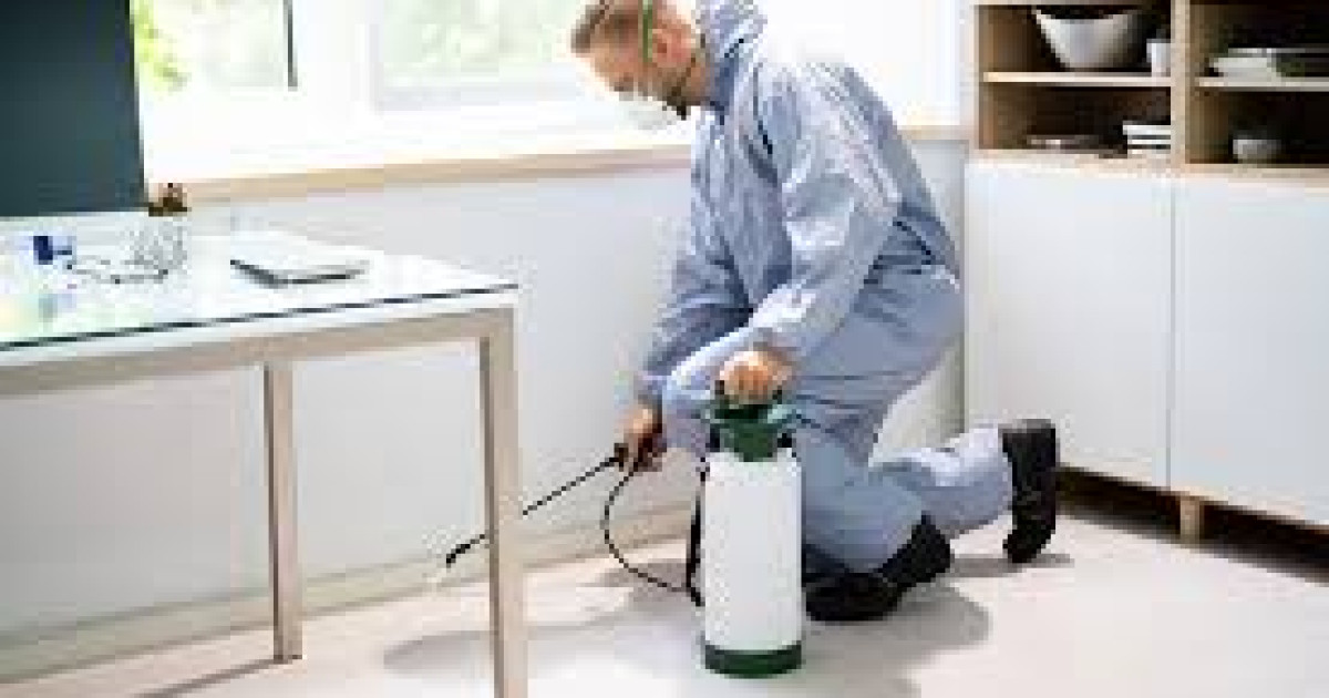 Pest Control and Your Property