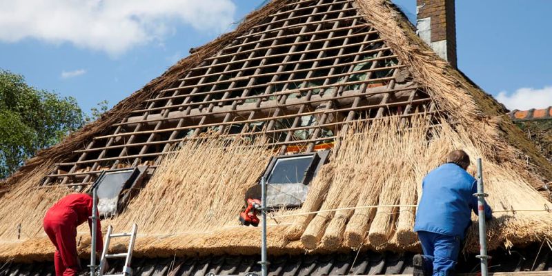 Why you should consider thatching your house