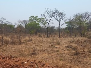 Land in KweKwe