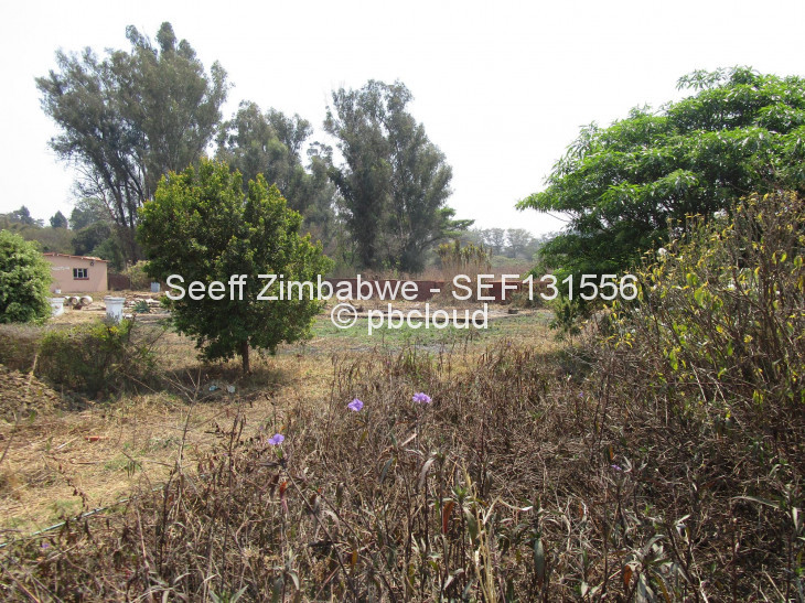 Stand for Sale in Borrowdale, Harare