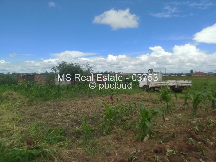 Stand for Sale in Whitecliff