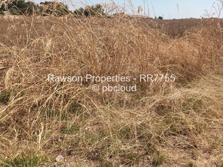 Commercial Property for Sale in Zimre Park, Harare