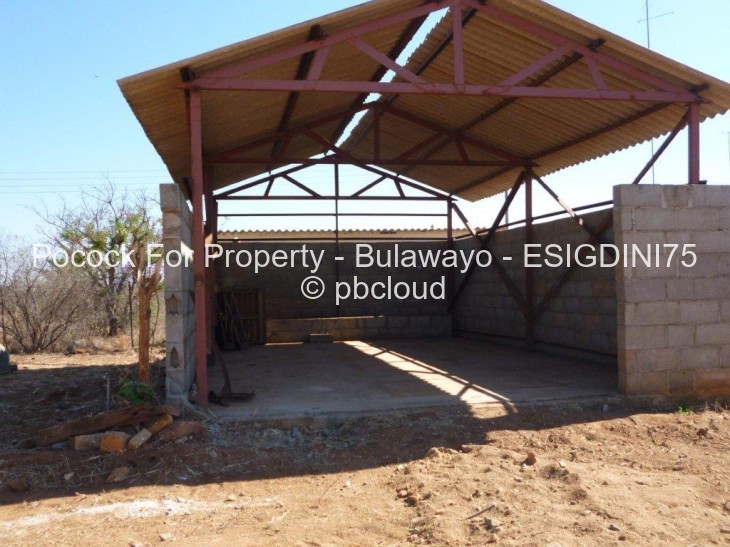 Commercial Property for Sale in Esigodini, Umzingwane