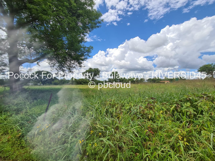 Land for Sale in Riverside South