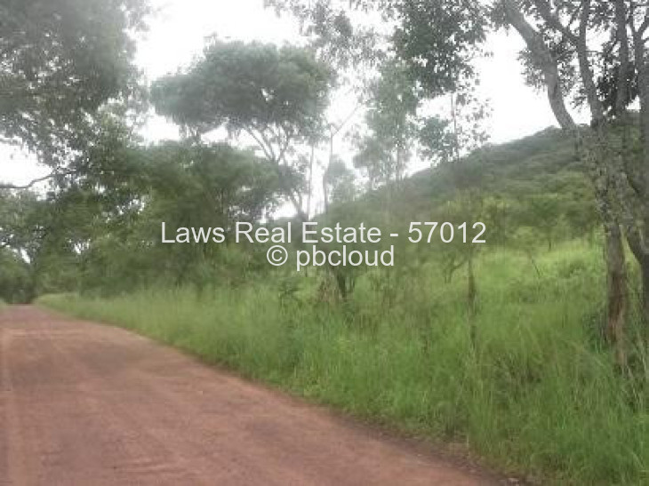 Stand for Sale in Lake Chivero