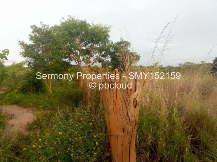 Land for Sale in Chinhoyi, Chinhoyi