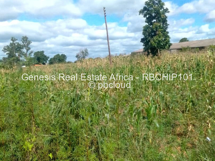 Land for Sale in Chipinge, Chipinge