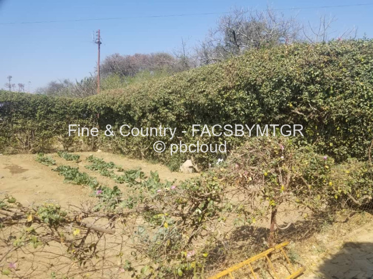 Farm for Sale in Montgomery, Bulawayo