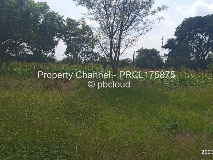 Commercial Property for Sale in Beatrice, Beatrice