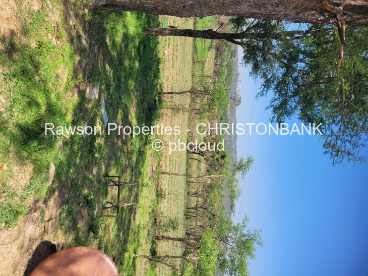 Farm for Sale in Christon Bank, Christon Bank