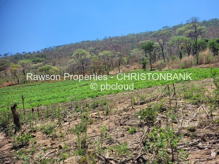 Farm for Sale in Christon Bank