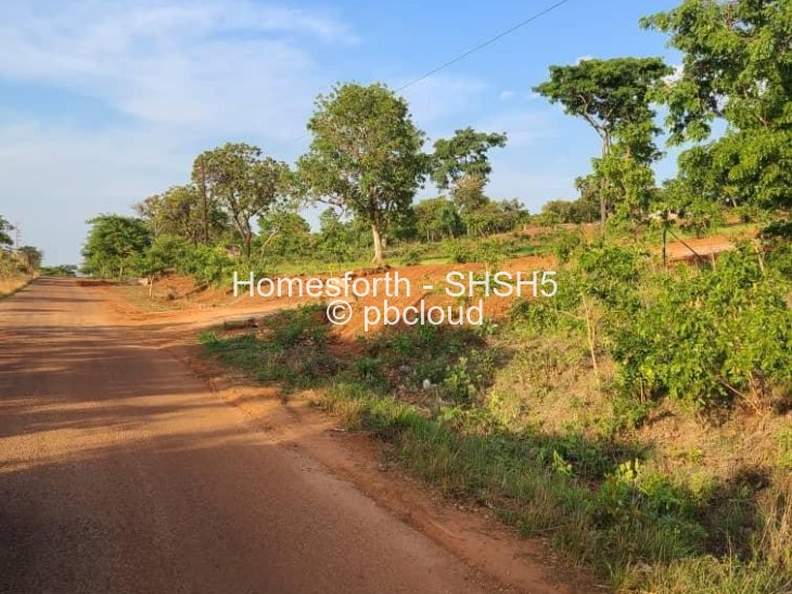 Land for Sale in Shawasha Hills