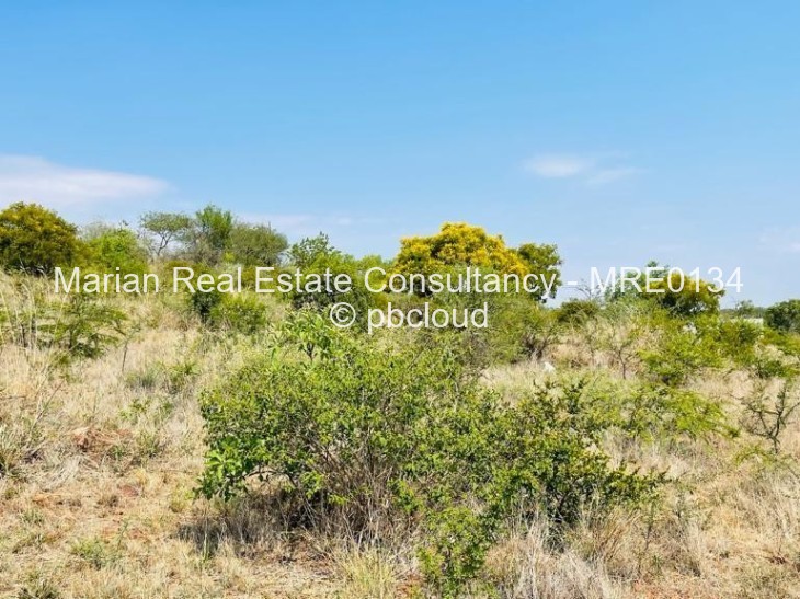 Land for Sale in Douglasdale, Bulawayo
