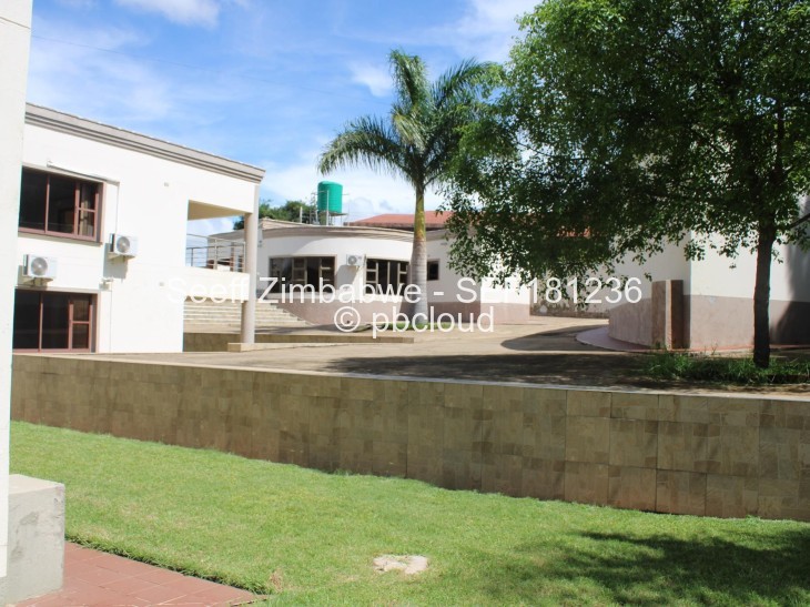 4 Bedroom House to Rent in Shawasha Hills, Harare