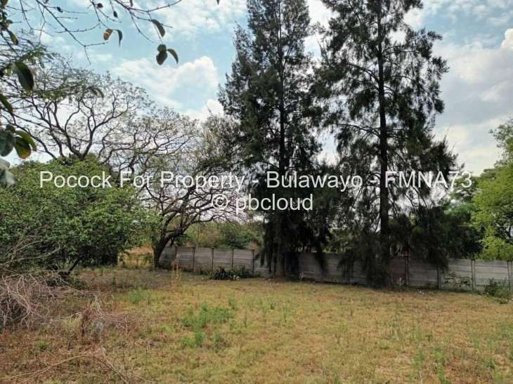3 Bedroom House for Sale in Famona, Bulawayo