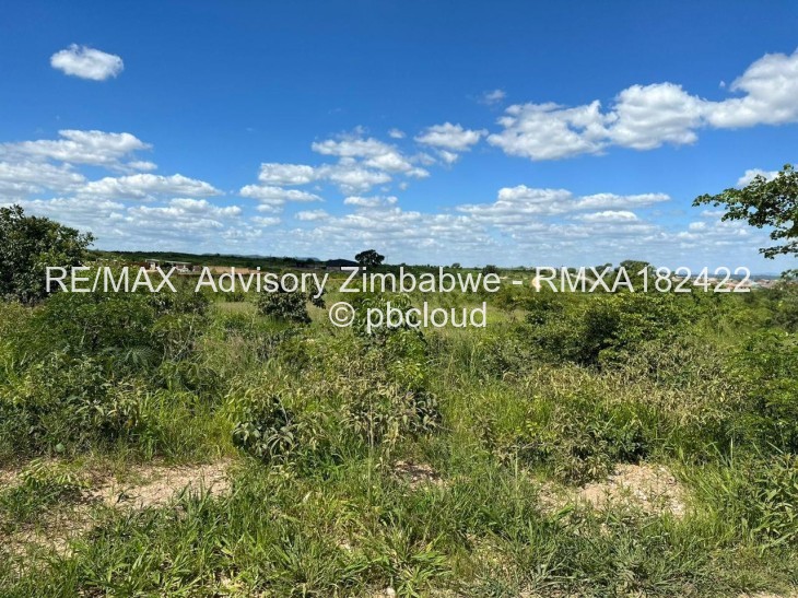Land for Sale in Chinhoyi