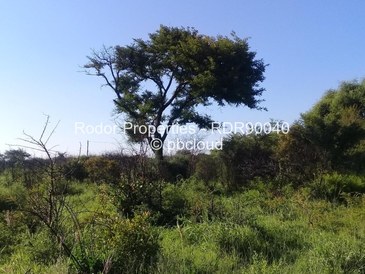 Stand for Sale in Woodville, Bulawayo