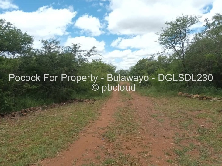 House for Sale in Douglasdale, Bulawayo