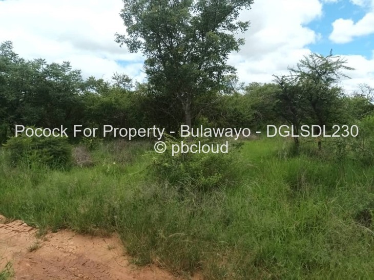 House for Sale in Douglasdale, Bulawayo