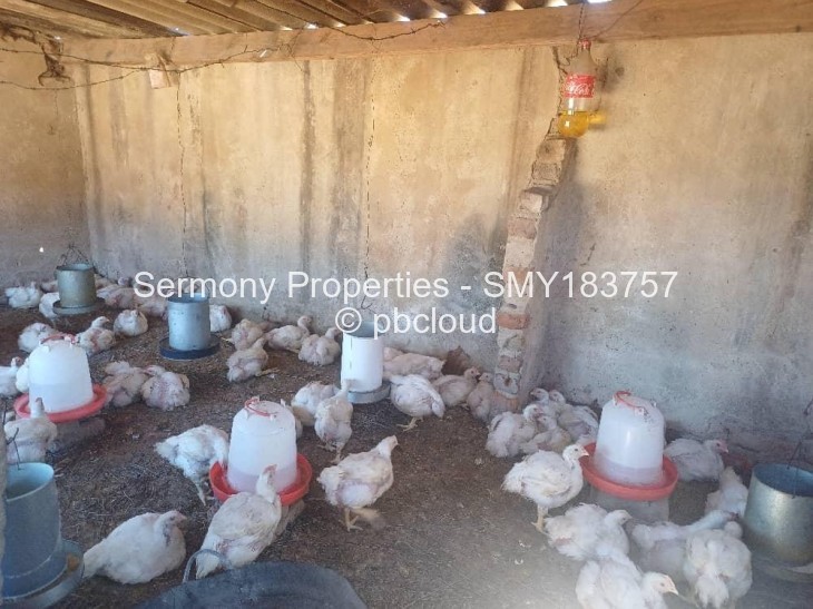 Farm for Sale in Gweru East, Gweru
