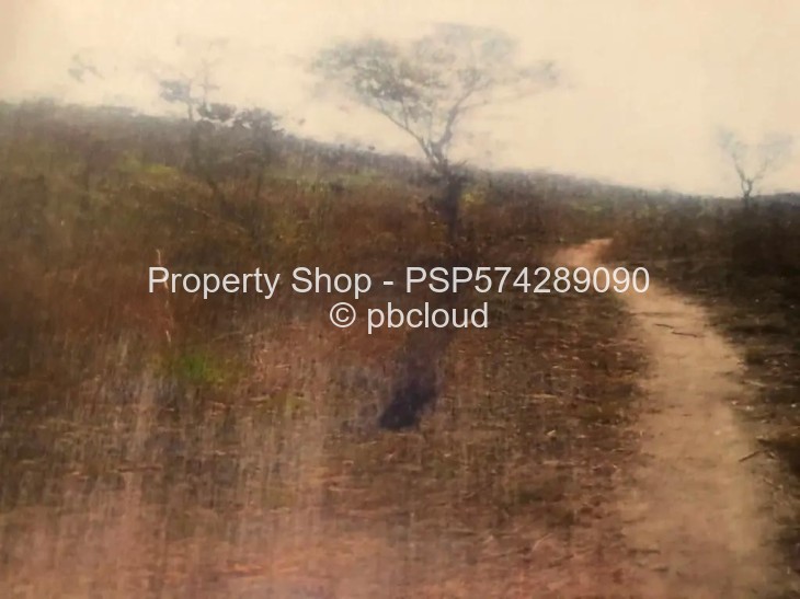 Land for Sale in Bindura