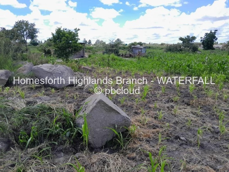 Stand for Sale in Waterfalls, Harare