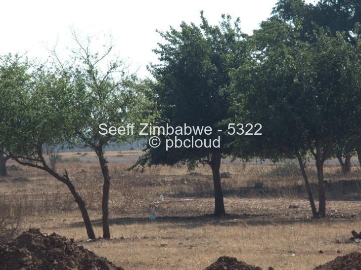 Stand for Sale in Woodville Park, Bulawayo