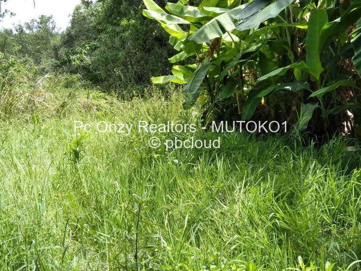 Farm to Rent in Mutoko, Mutoko