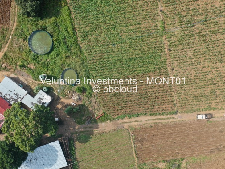 Land for Sale in Montgomery, Bulawayo