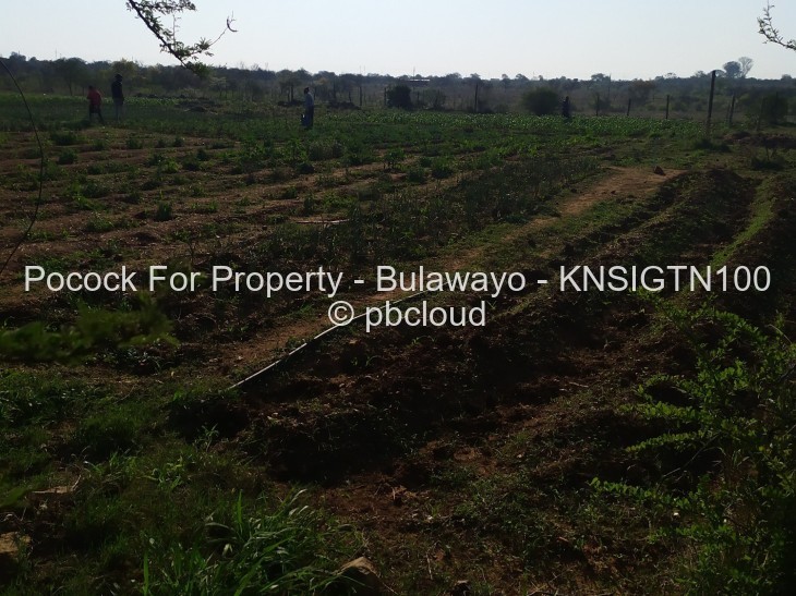 Farm for Sale in Kensington Byo, Bulawayo