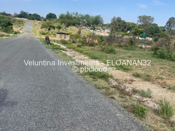 Stand for Sale in Eloana