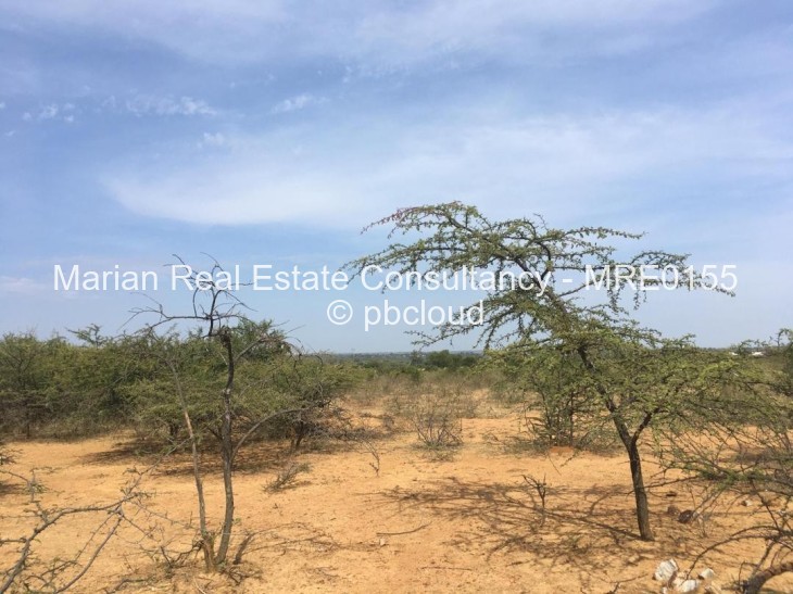 Land for Sale in Gumtree, Bulawayo