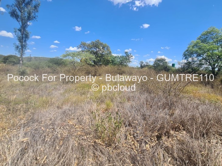 Farm for Sale in Gumtree, Bulawayo