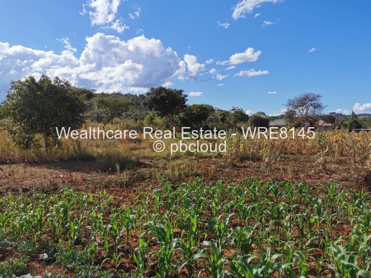 Stand for Sale in Charlotte Brooke, Harare