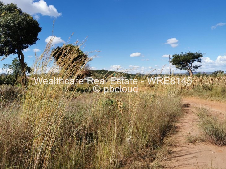Stand for Sale in Charlotte Brooke, Harare