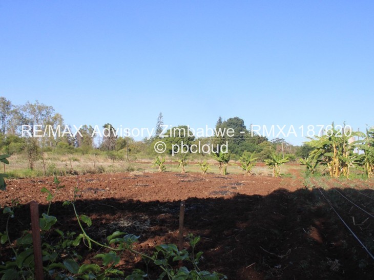 Land for Sale in Daylesford, Gweru