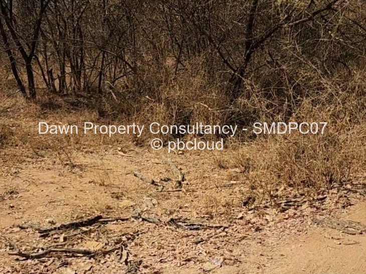 Land for Sale in Redcliff, Redcliff