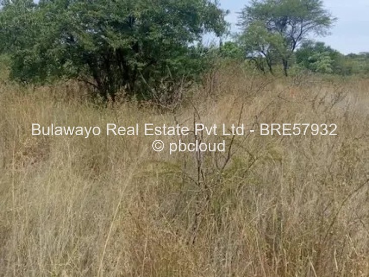 Land for Sale in North Lynne, Bulawayo