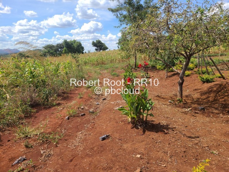 Land for Sale in Concession, Concession