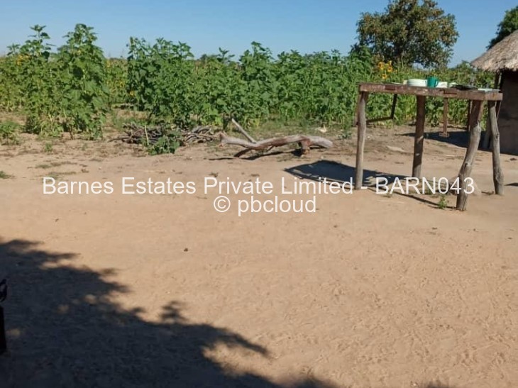 Farm for Sale in Nyamandlovu, Bulawayo