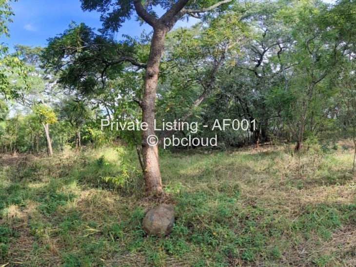 Stand for Sale in Colne Valley, Harare