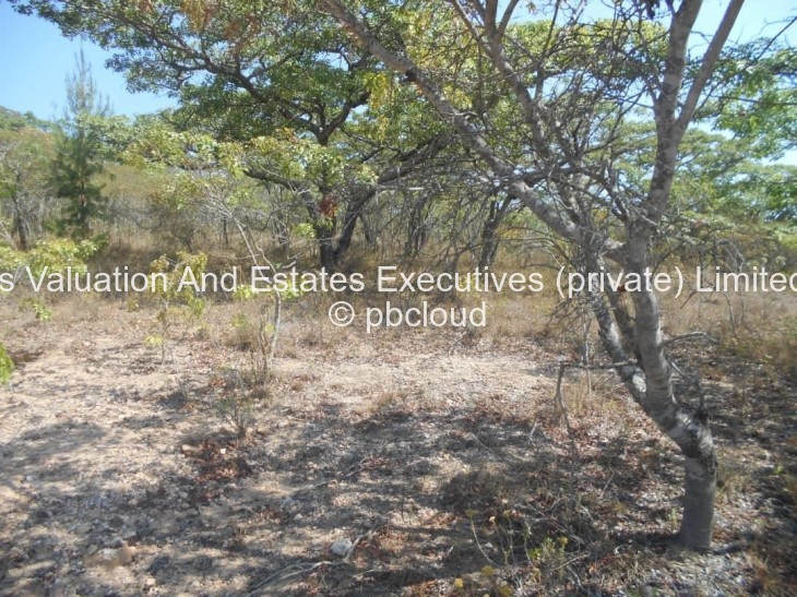 Land for Sale in Arcturus