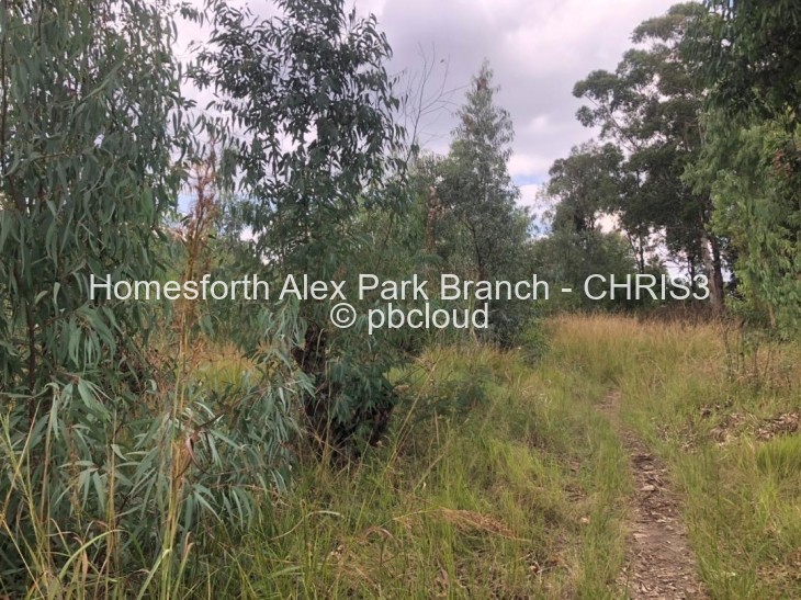 Land for Sale in Monavale, Harare