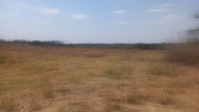 Land for Sale in Lobenvale