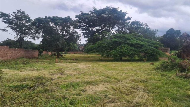 Land for Sale in Greystone Park