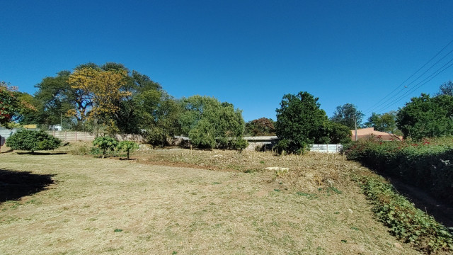 Stand for Sale in Hillside Byo