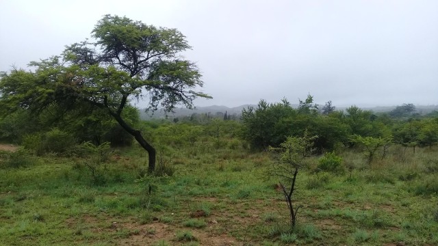 Land for Sale in Gumtree
