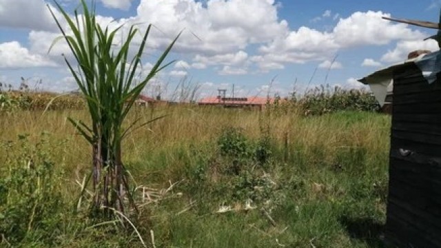 Land for Sale in Whitecliff