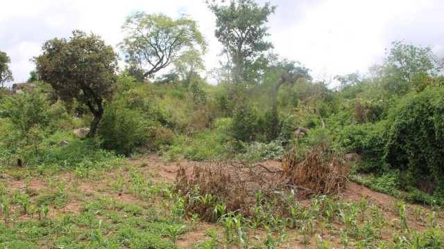 Land for Sale in Crowhill Views